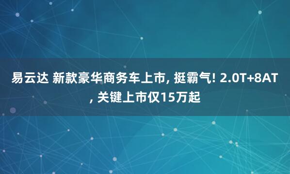 易云达 新款豪华商务车上市, 挺霸气! 2.0T+8AT, 关键上市仅15万起