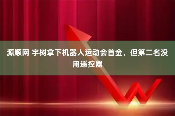 源顺网 宇树拿下机器人运动会首金,但第二名没用遥控器