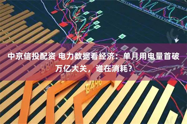 中京信投配资 电力数据看经济：单月用电量首破万亿大关，谁在消耗？