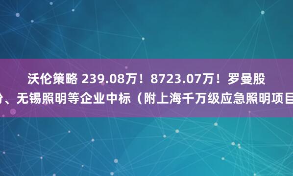 沃伦策略 239.08万！8723.07万！罗曼股份、无锡照明等企业中标（附上海千万级应急照明项目）