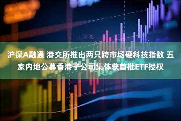 沪深A融通 港交所推出两只跨市场硬科技指数 五家内地公募香港子公司集体获首批ETF授权